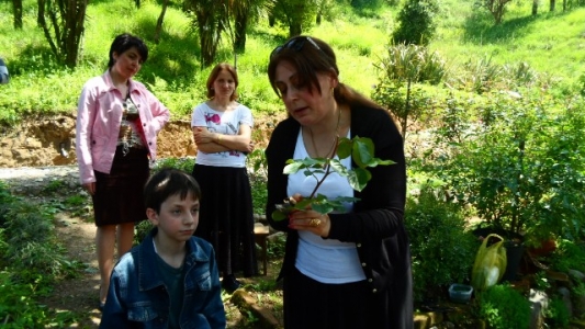 სურათი
